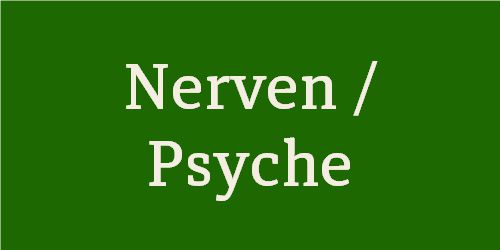 Nerven / Psyche